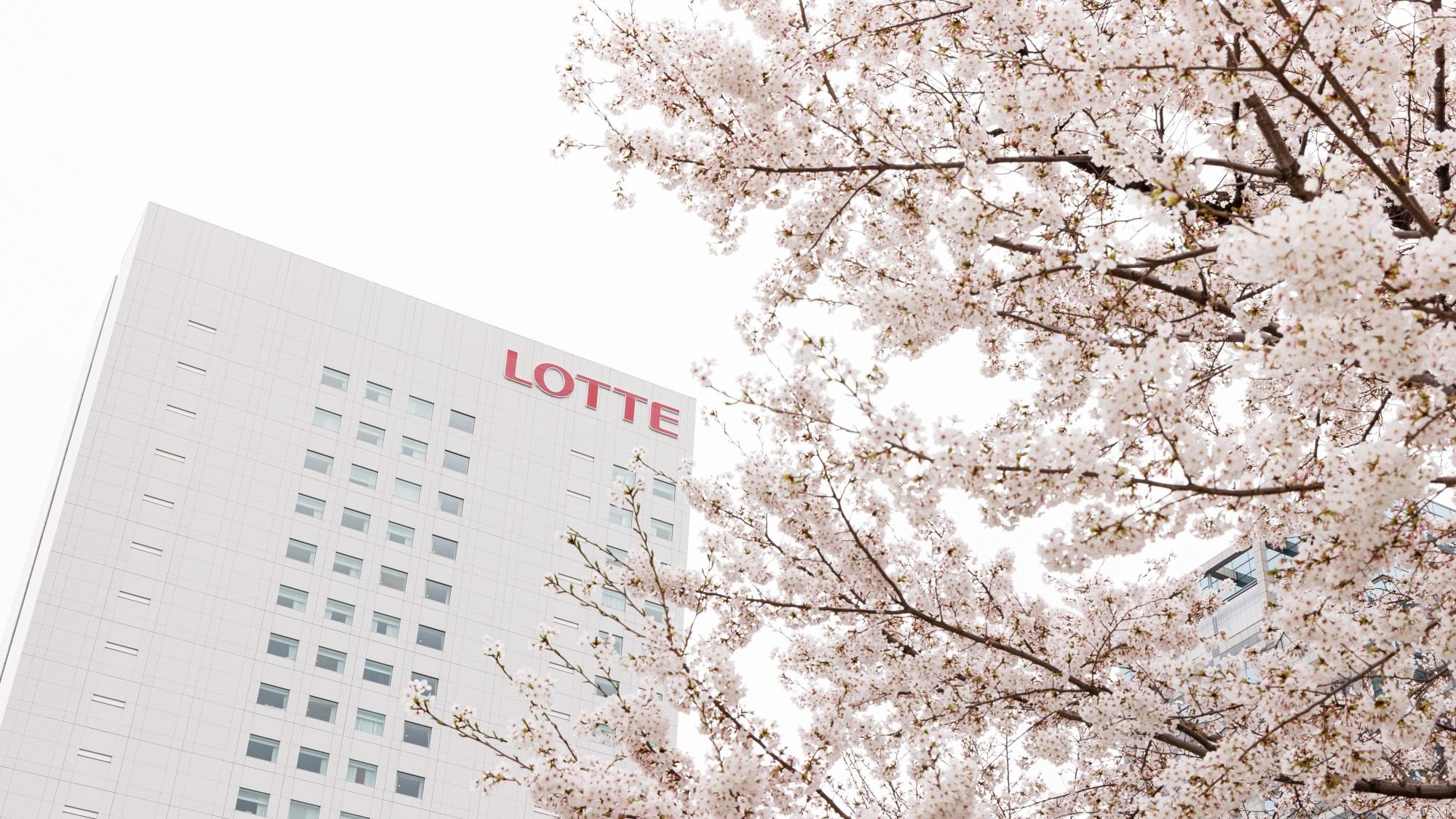 春にはホテル周辺を桜が彩ります♪