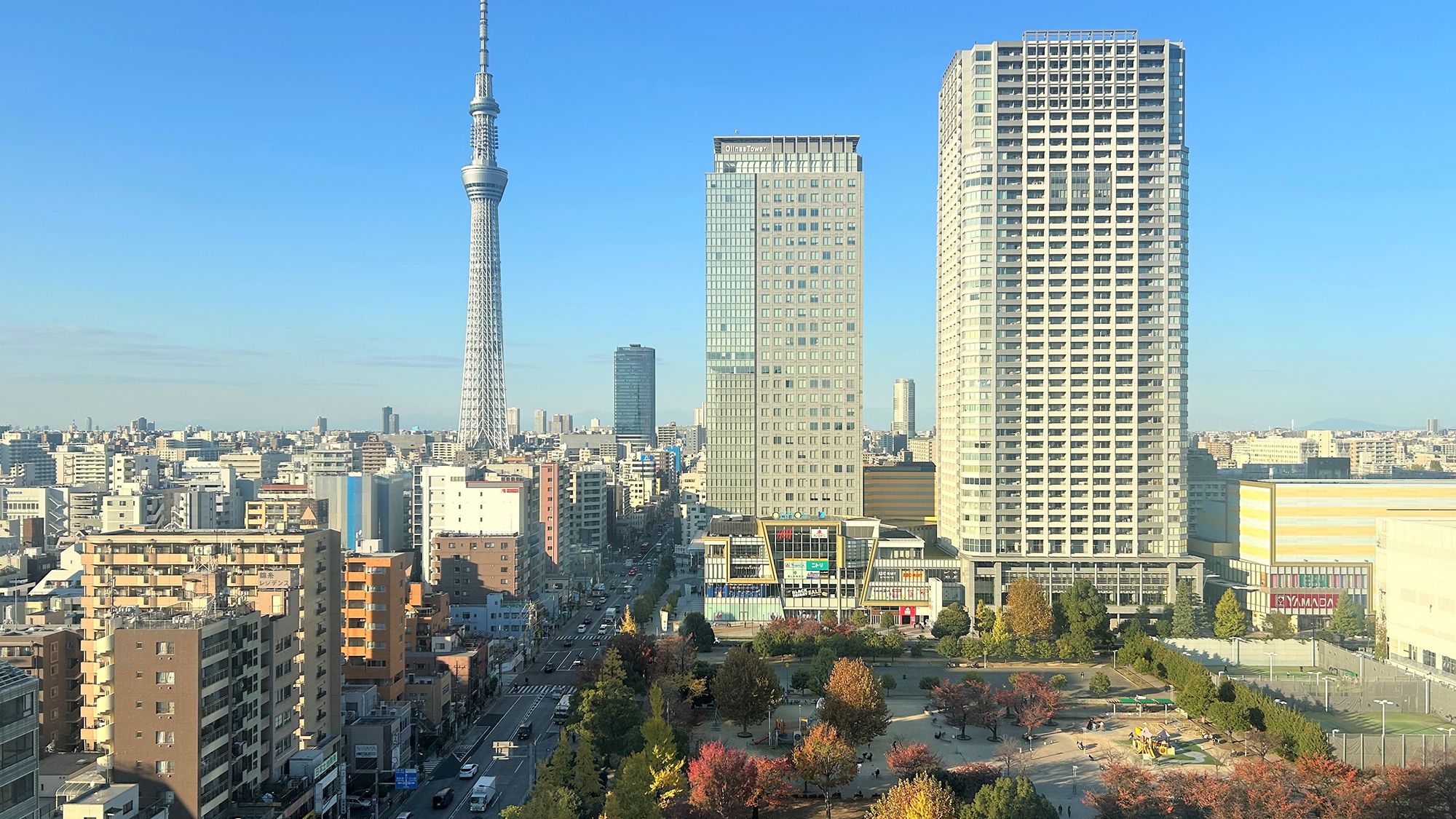 秋には錦糸公園を紅葉が彩ります