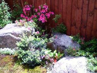 ５月には季節の花、さつき、つつじ、夏にはアジサイが見ごろですね