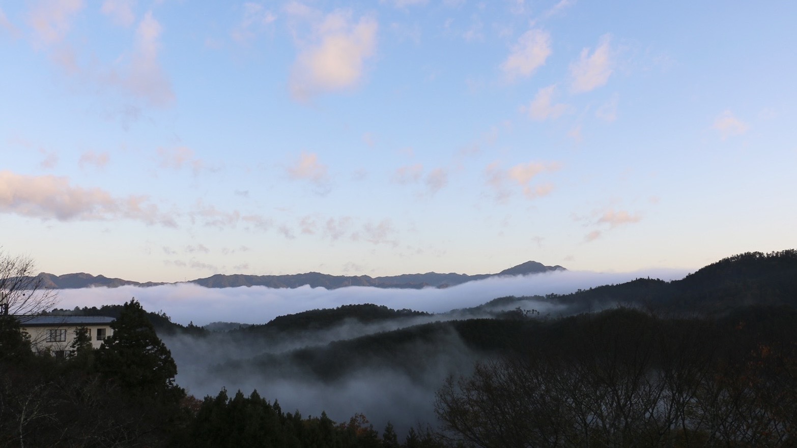 ＜通年＞客室からの「雲海」景色