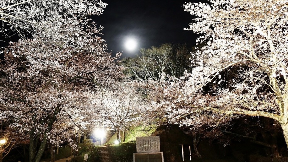 ＜春＞吉野山の千本桜