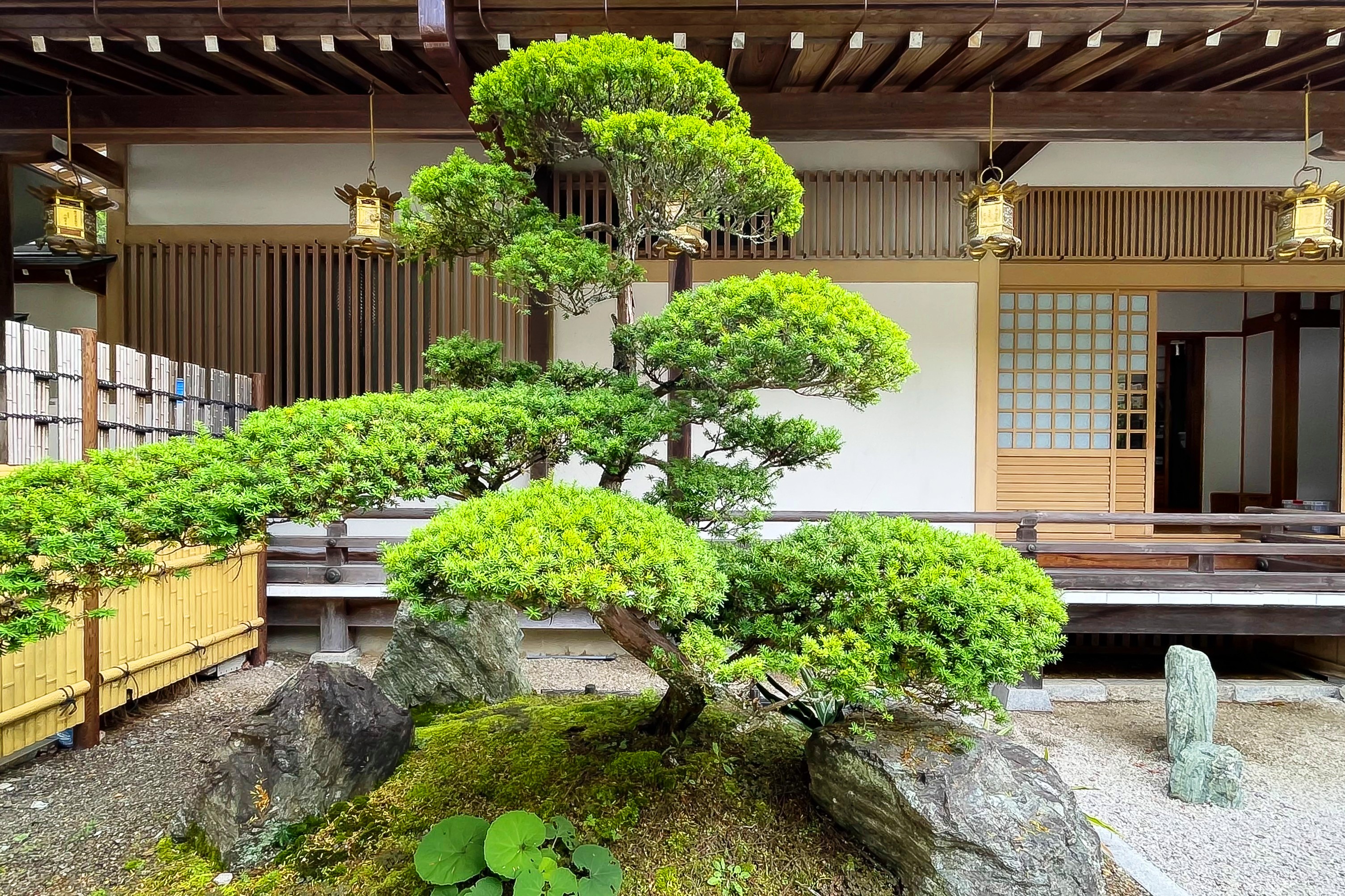 庭園一例