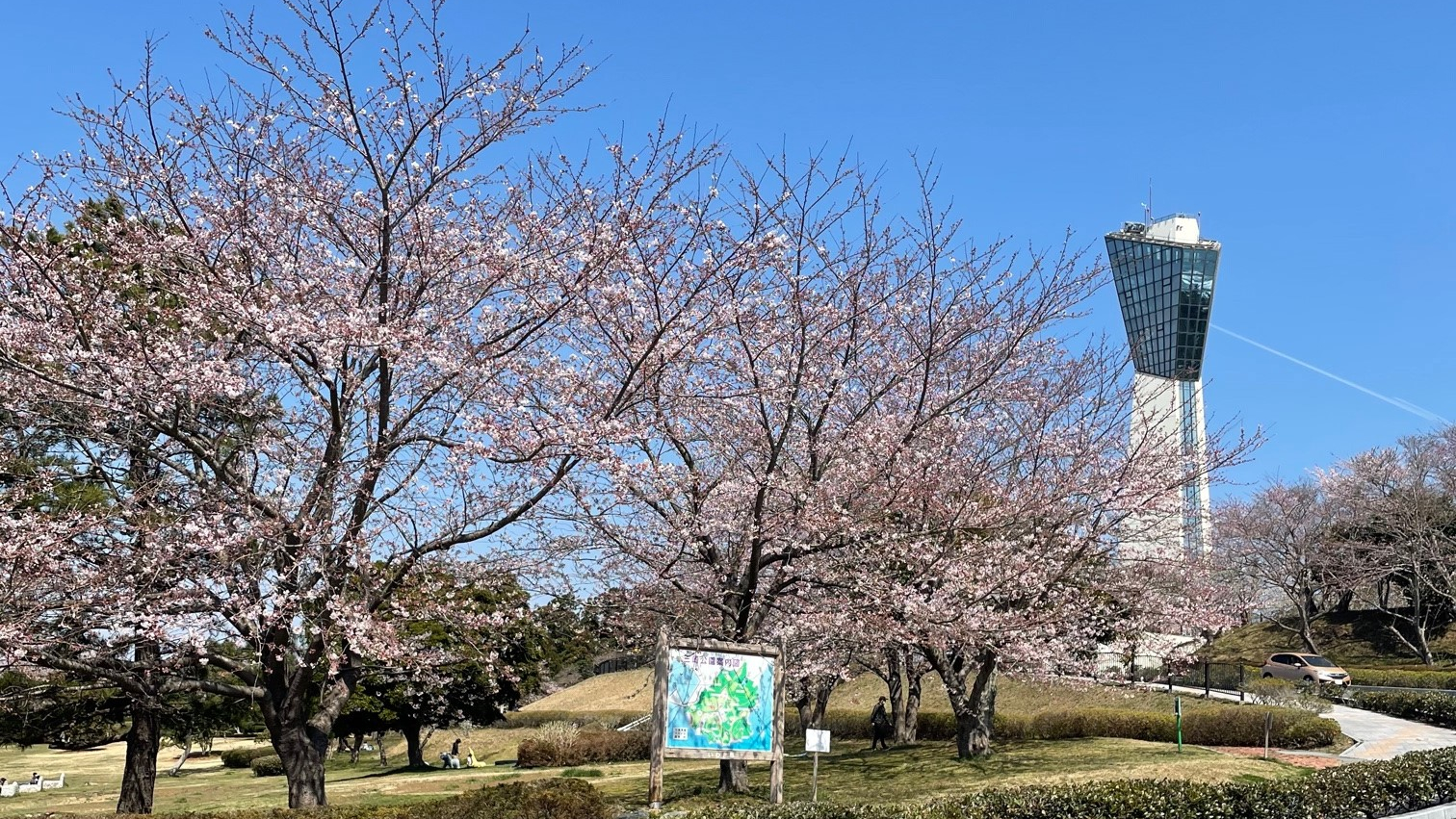 三崎公園