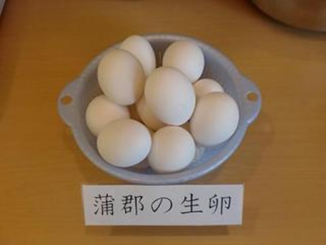 蒲郡の生卵
