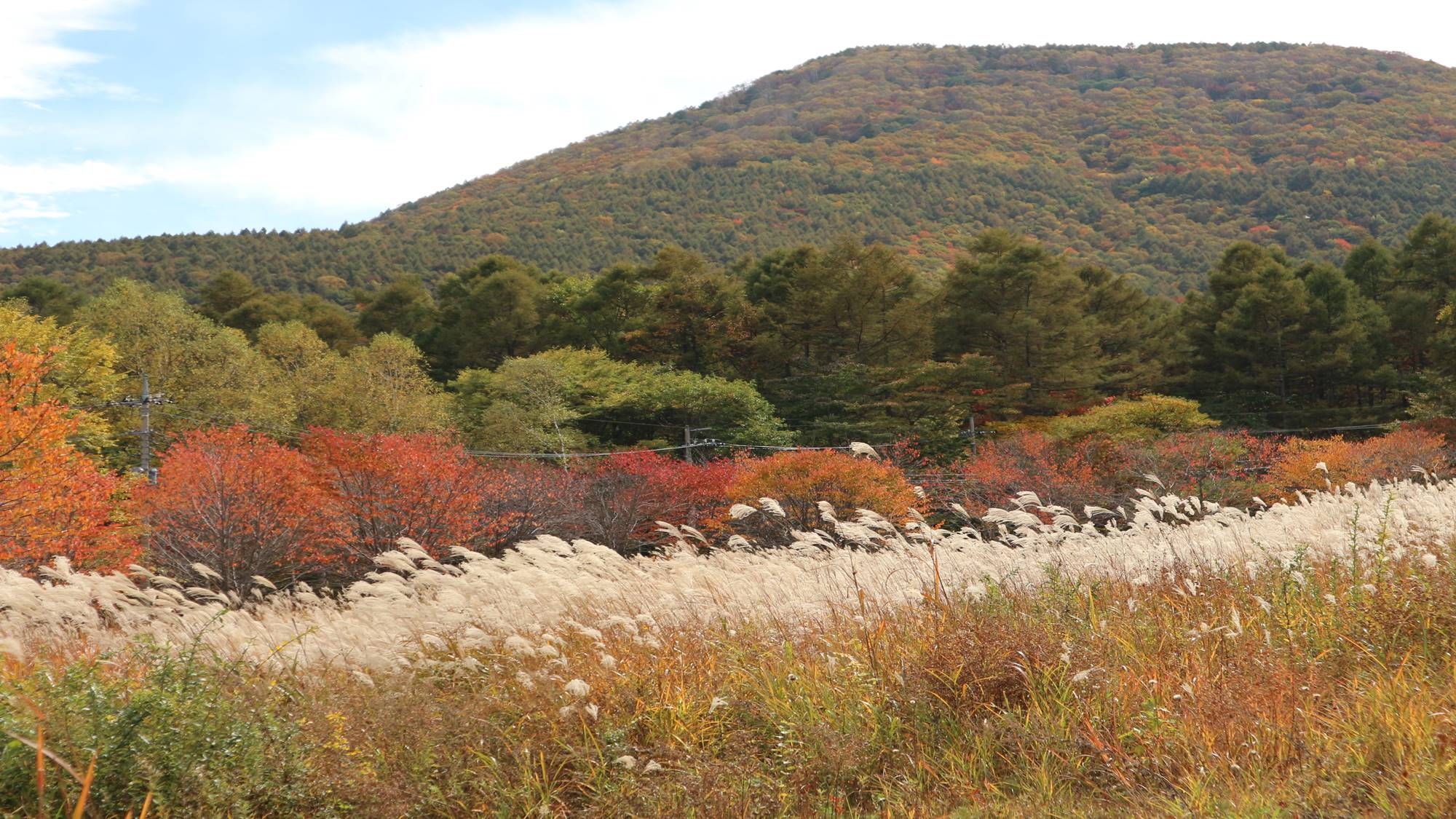 *【周辺/紅葉】当館の近くにも紅葉スポットが満載です。当館より徒歩10分・車で2分ほど