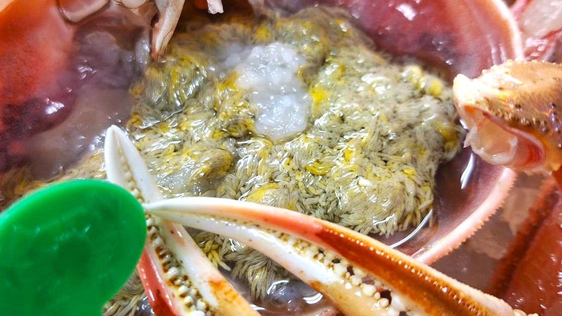 【季節限定★冬の味覚満喫】〜活と茹〜間人ガニをおふたりで二杯！×丹後の旬魚しゃぶしゃぶを味わう♪