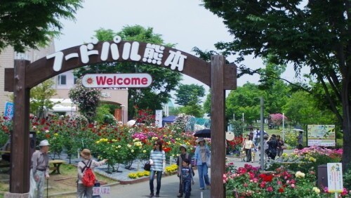 フードパル熊本