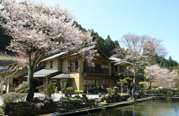 Exterior Sakura 2