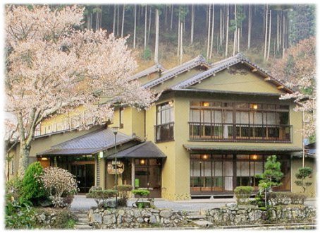 Exterior: Sakura