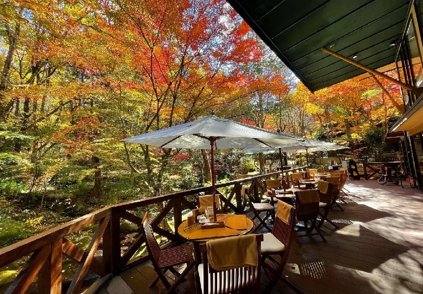 Ryo-an　テラス　秋