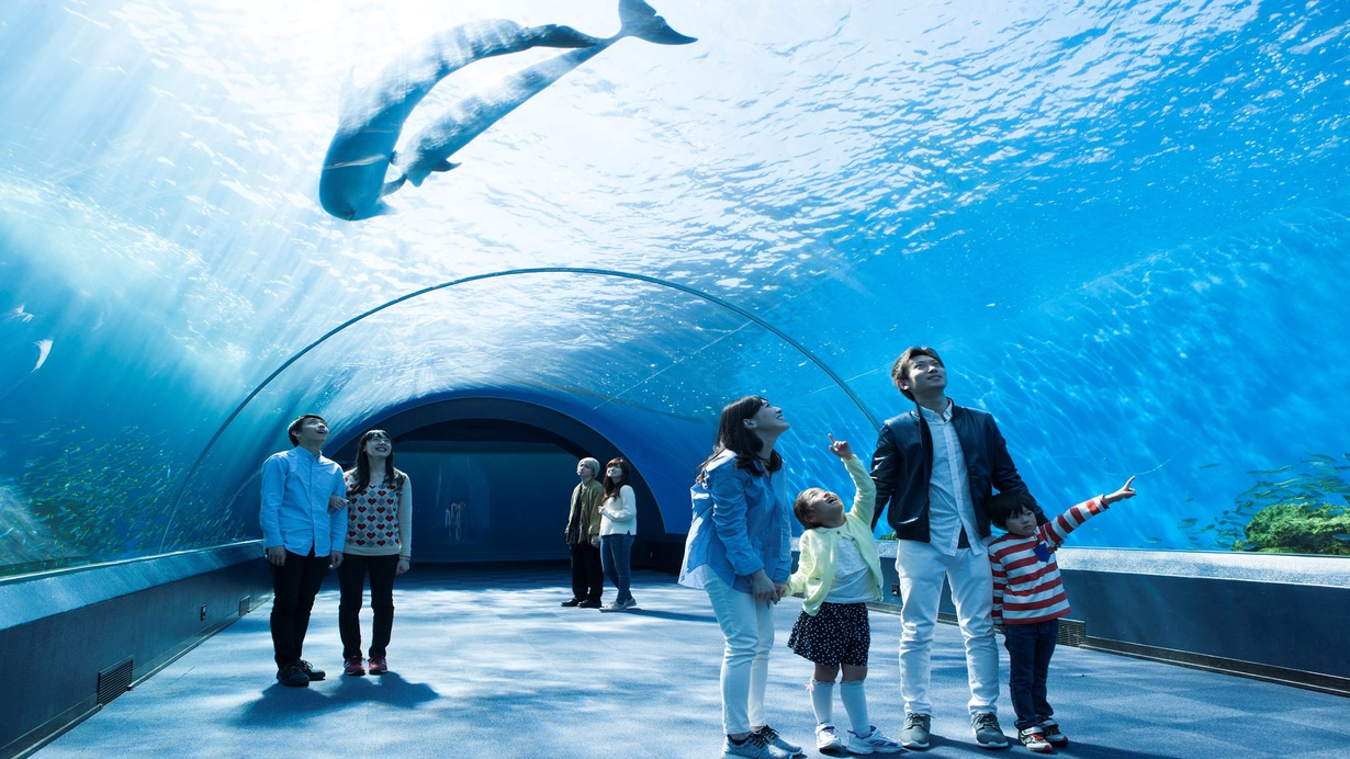 横浜・八景島シーパラダイス（水族館4施設）チケット付＆朝食付き