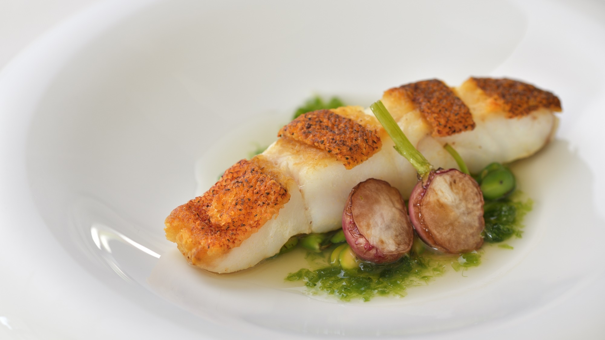 【連泊／ディナー1回付き】県産食材のコースディナー＜朝食付き＞