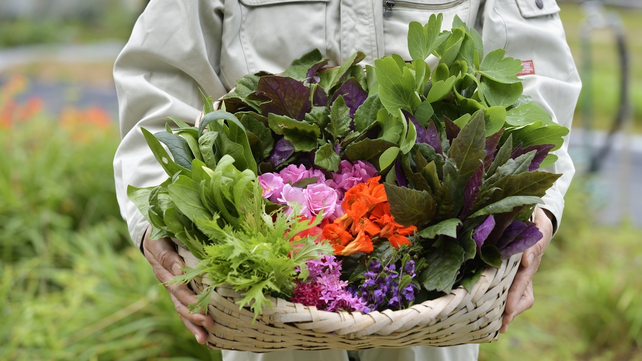 【連泊／ディナー1回付き】県産食材のコースディナー＜朝食付き＞