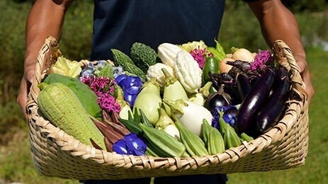 【連泊／フルコースディナー1回付】自家農園からはじまる美食ディナー“Essence”＜朝食付＞