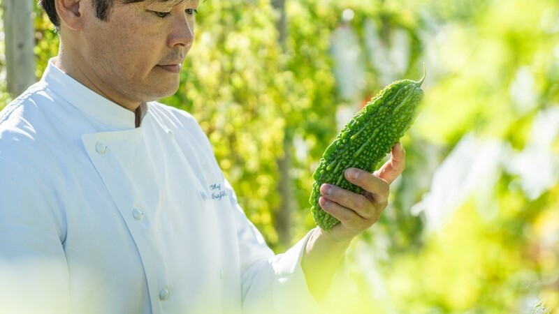 Our Farm　自家農園