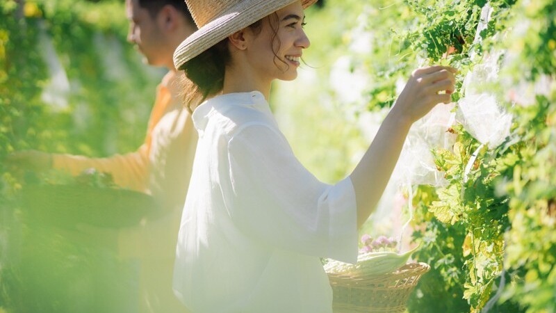 Our Farm　自家農園