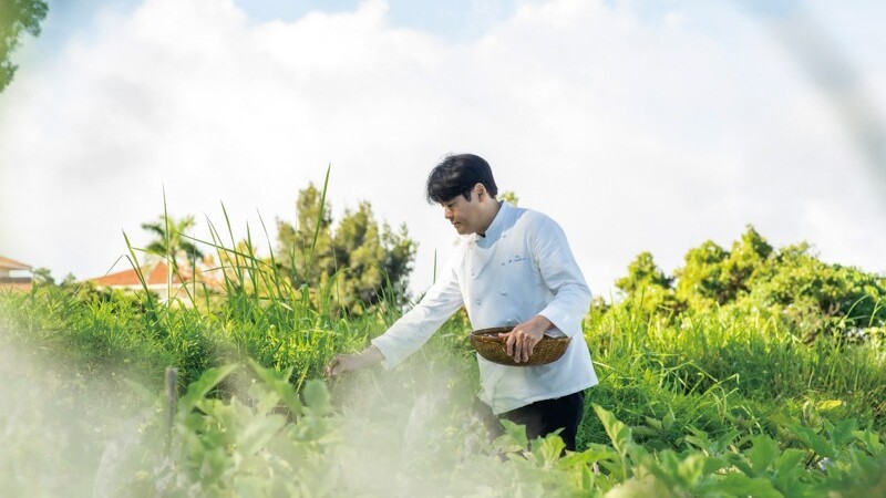 Our Farm　自家農園