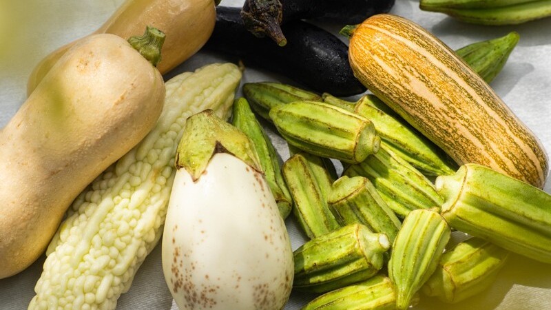 Our Farm　自家農園