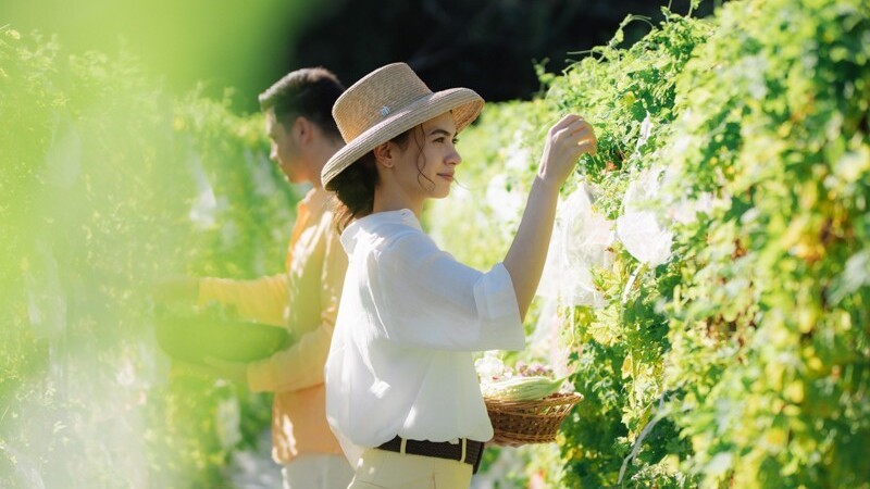 Our Farm　自家農園