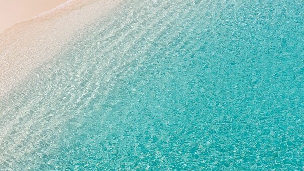 フランス生まれ海由来のスキンケア＿THALGO