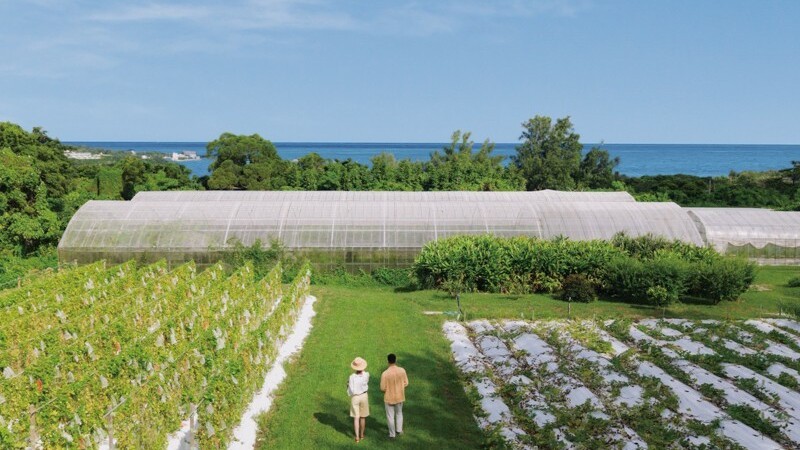 Our Farm　自家農園