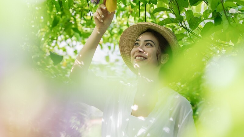 Our Farm　自家農園