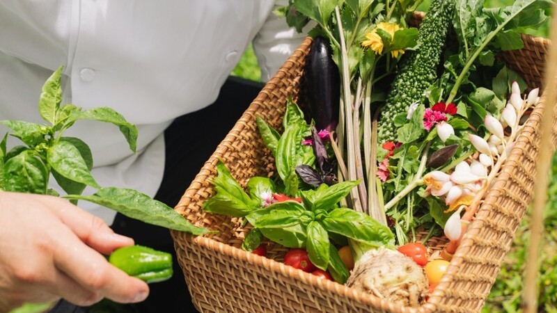 Our Farm　自家農園