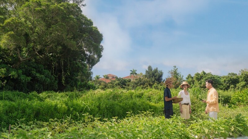 ★Our Farm　自家農園