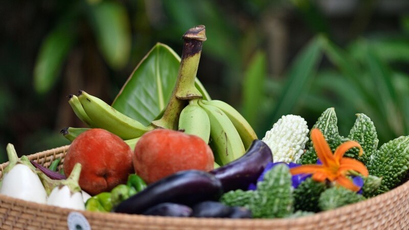 Our Farm　自家農園