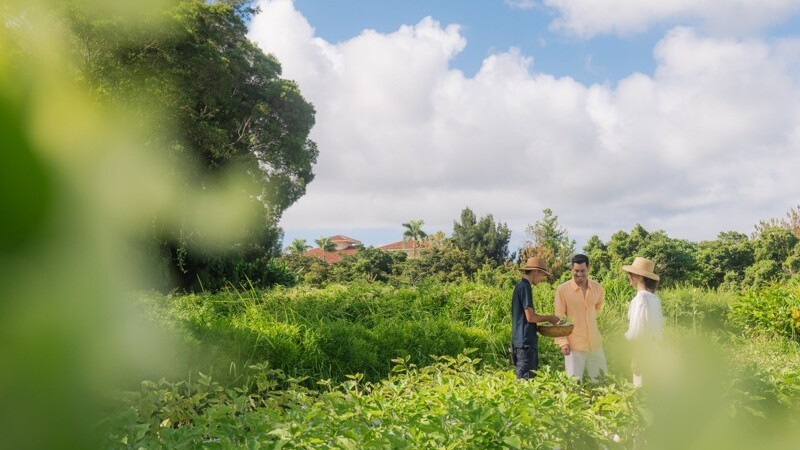 Our Farm　自家農園