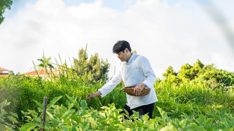 Our Farm　自家農園