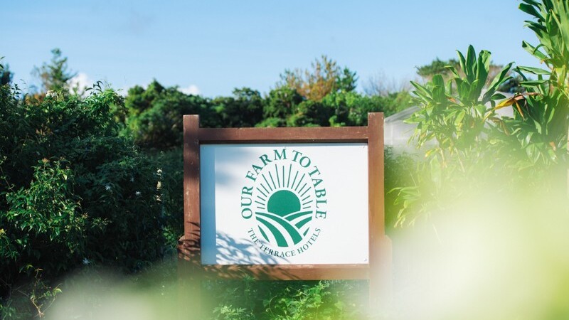 ★Our Farm　自家農園