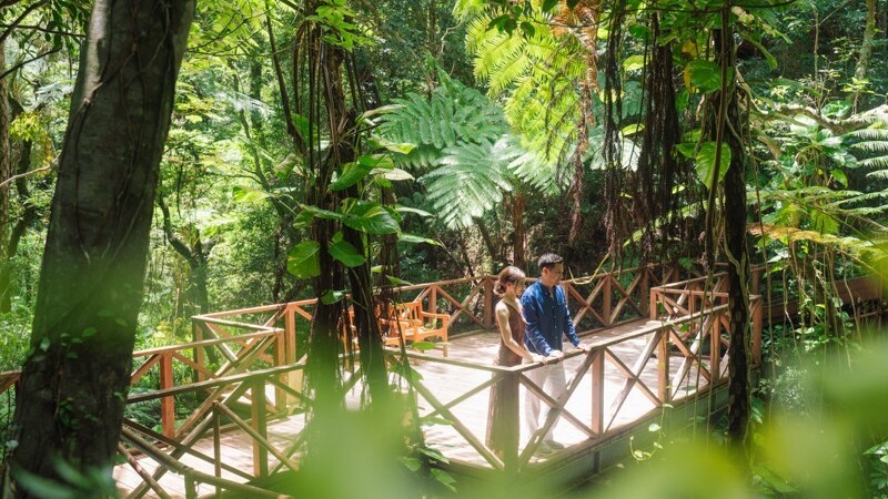 ★ザ・ガーデン　フォレストウォーク