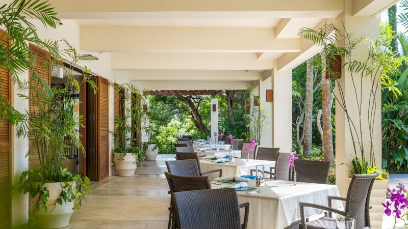 ファインダイニング