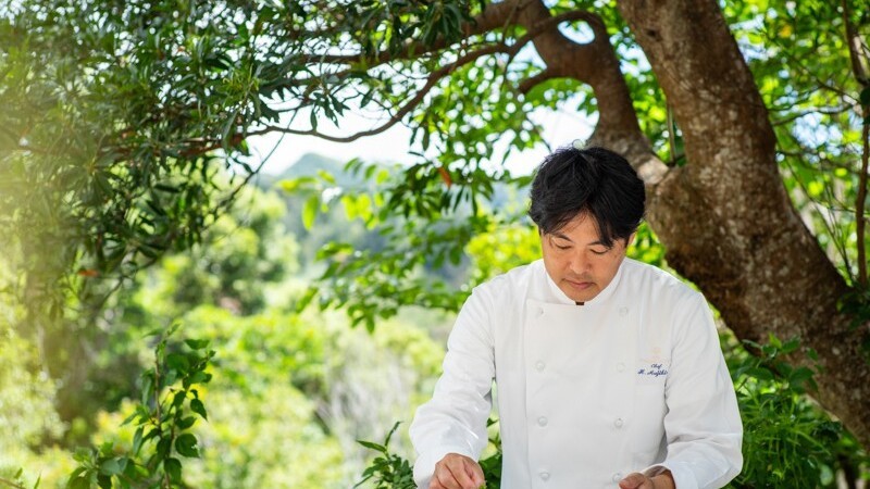 ファインダイニング