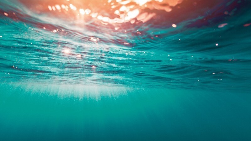 フランス生まれ海由来のスキンケア＿THALGO