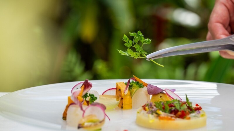 ファインダイニング　夕食