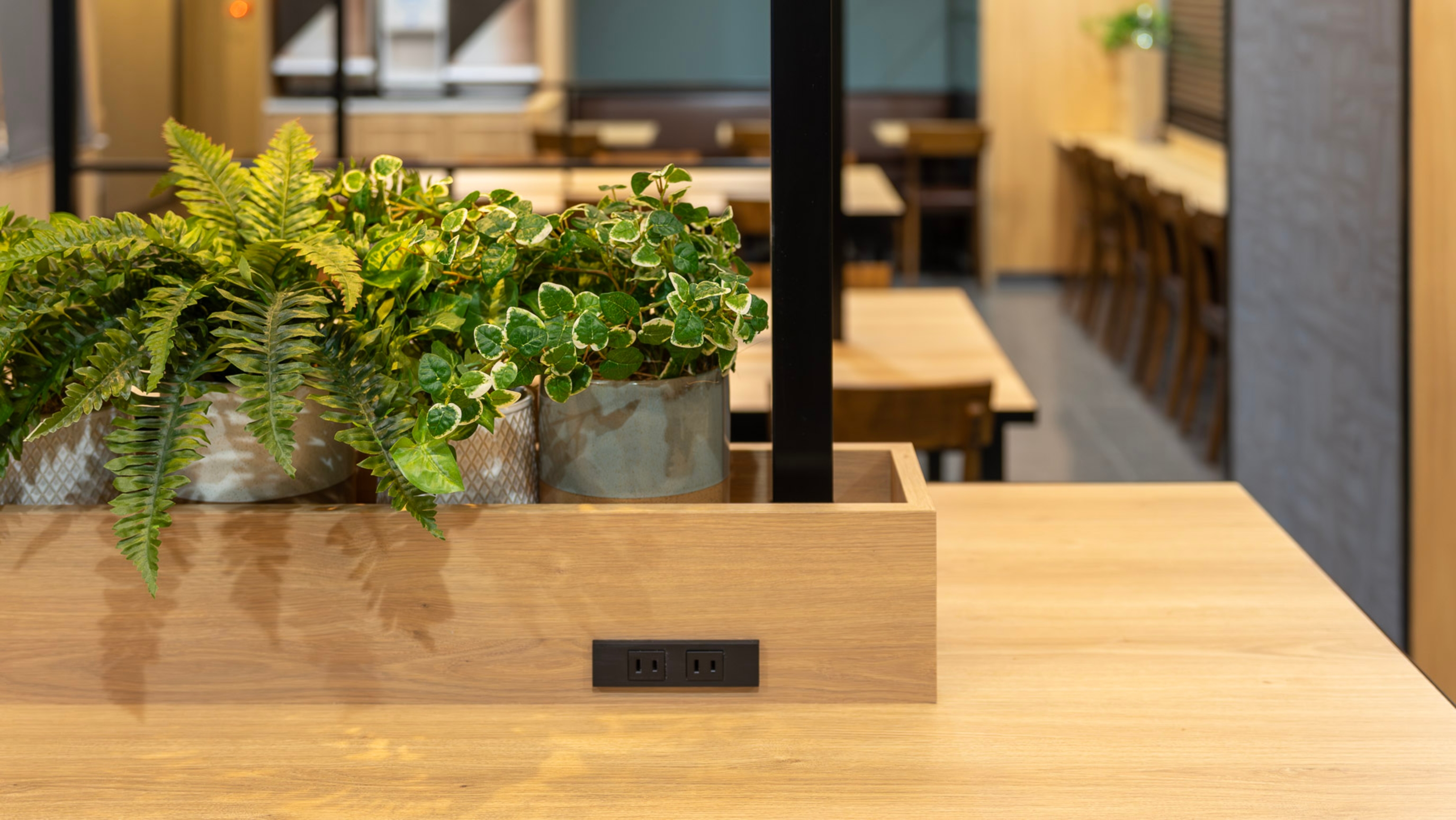 緑あふれるロハスラウンジ