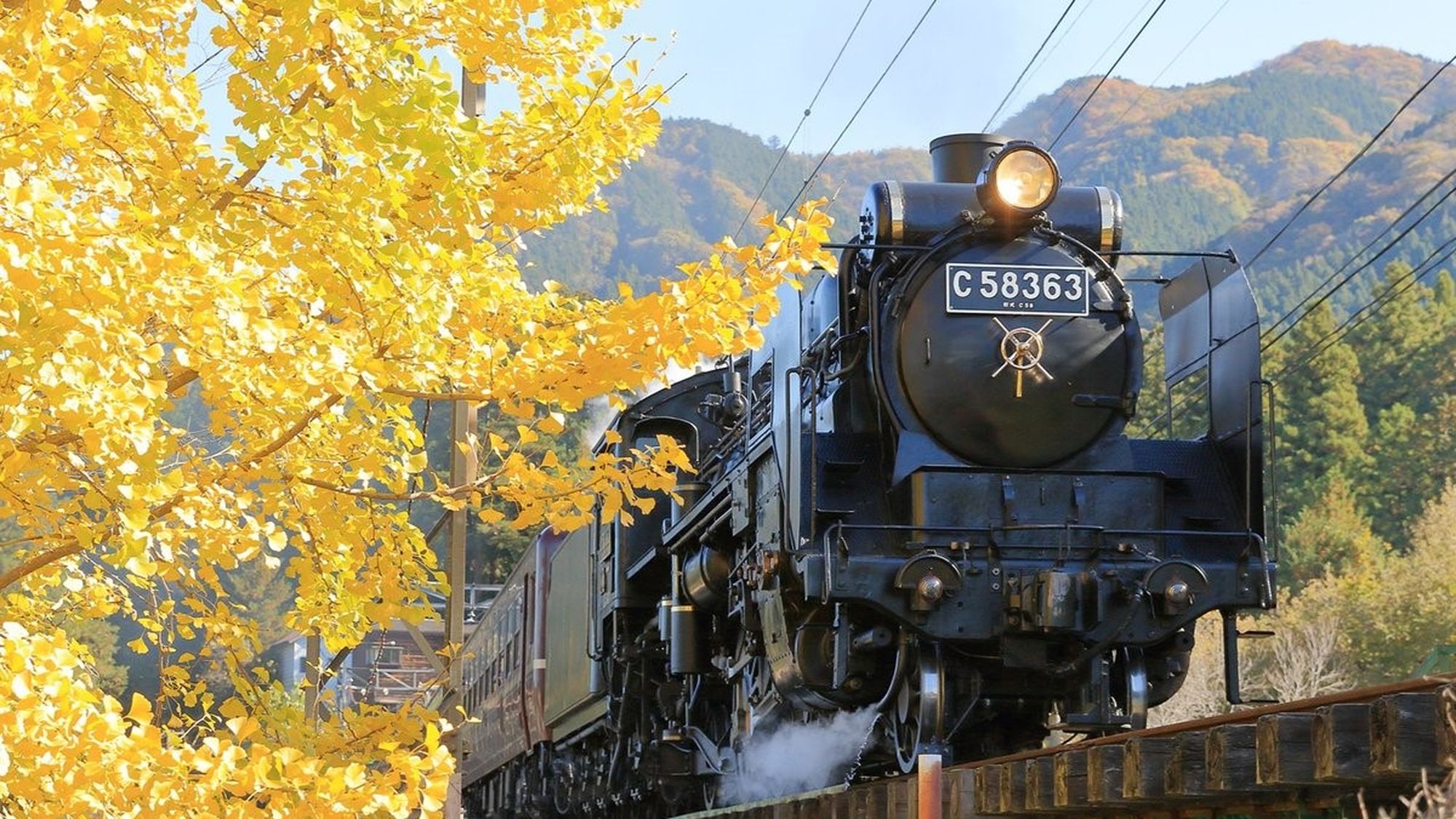 SLパレオエクスプレス  【提供元：秩父鉄道株式会社】