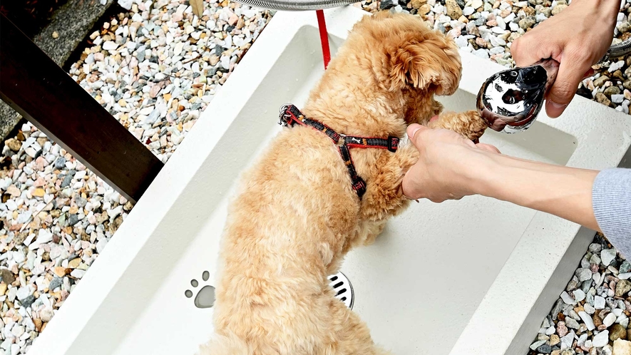 【愛犬家族】犬の手洗い場