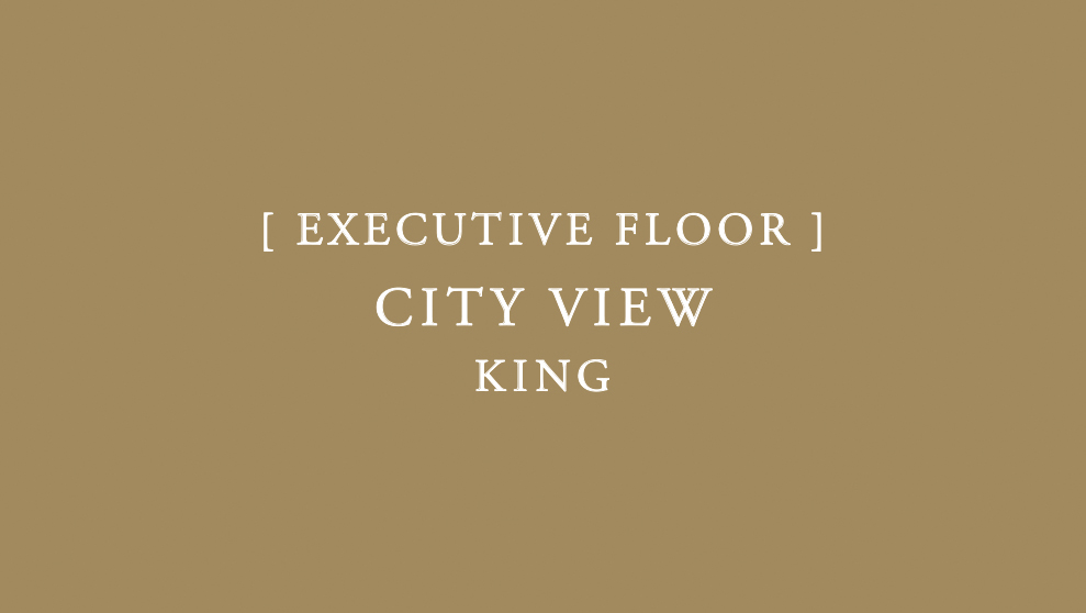 エグゼクティブ キング シティビュー／高層階・ミニバー無料（14階から16階）