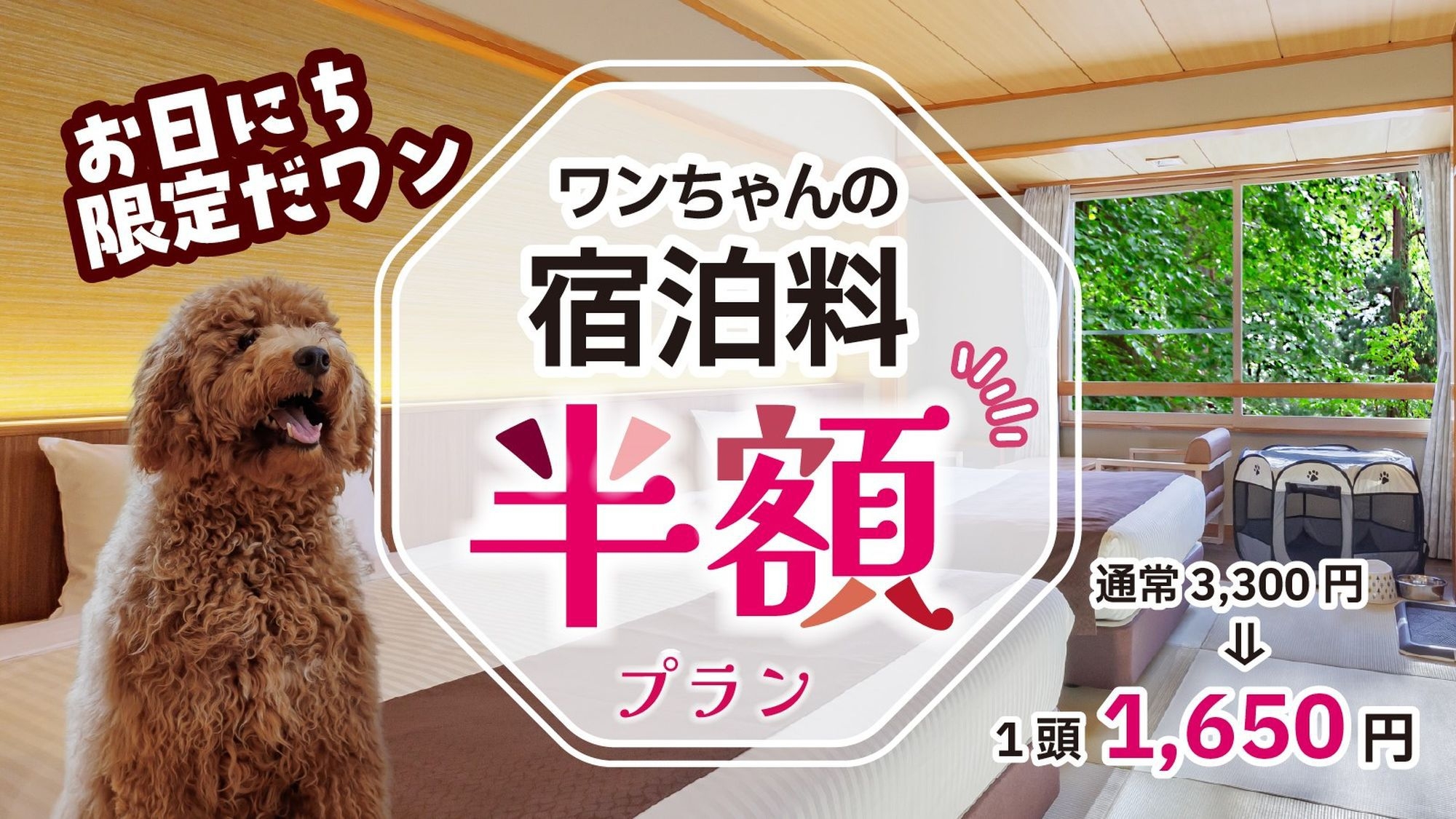 ワンちゃん宿泊料半額♪お日にち限定プラン【特別会席】