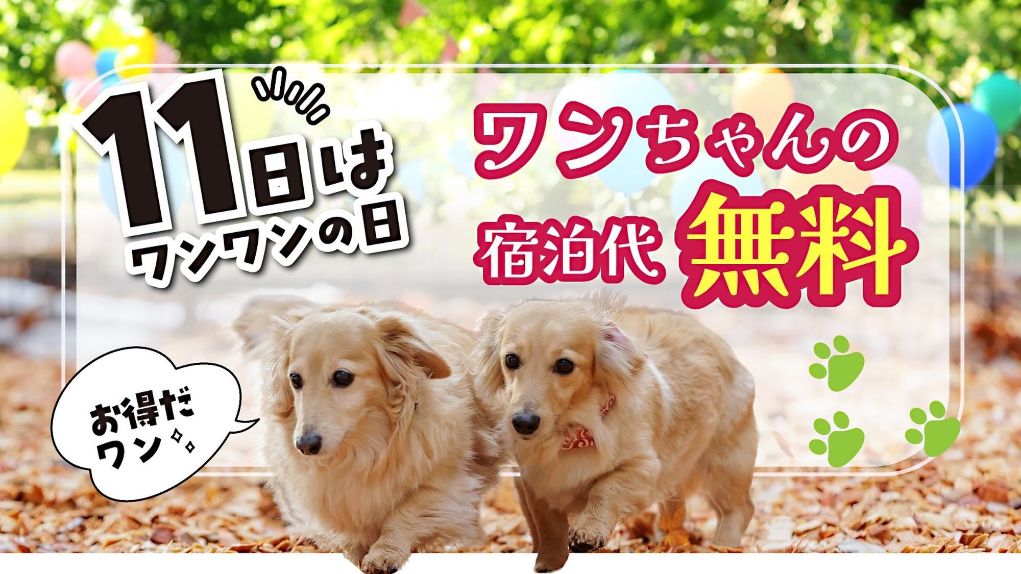 11日はワンワンの日♪ワンちゃんの宿泊代が無料♪【特別会席】