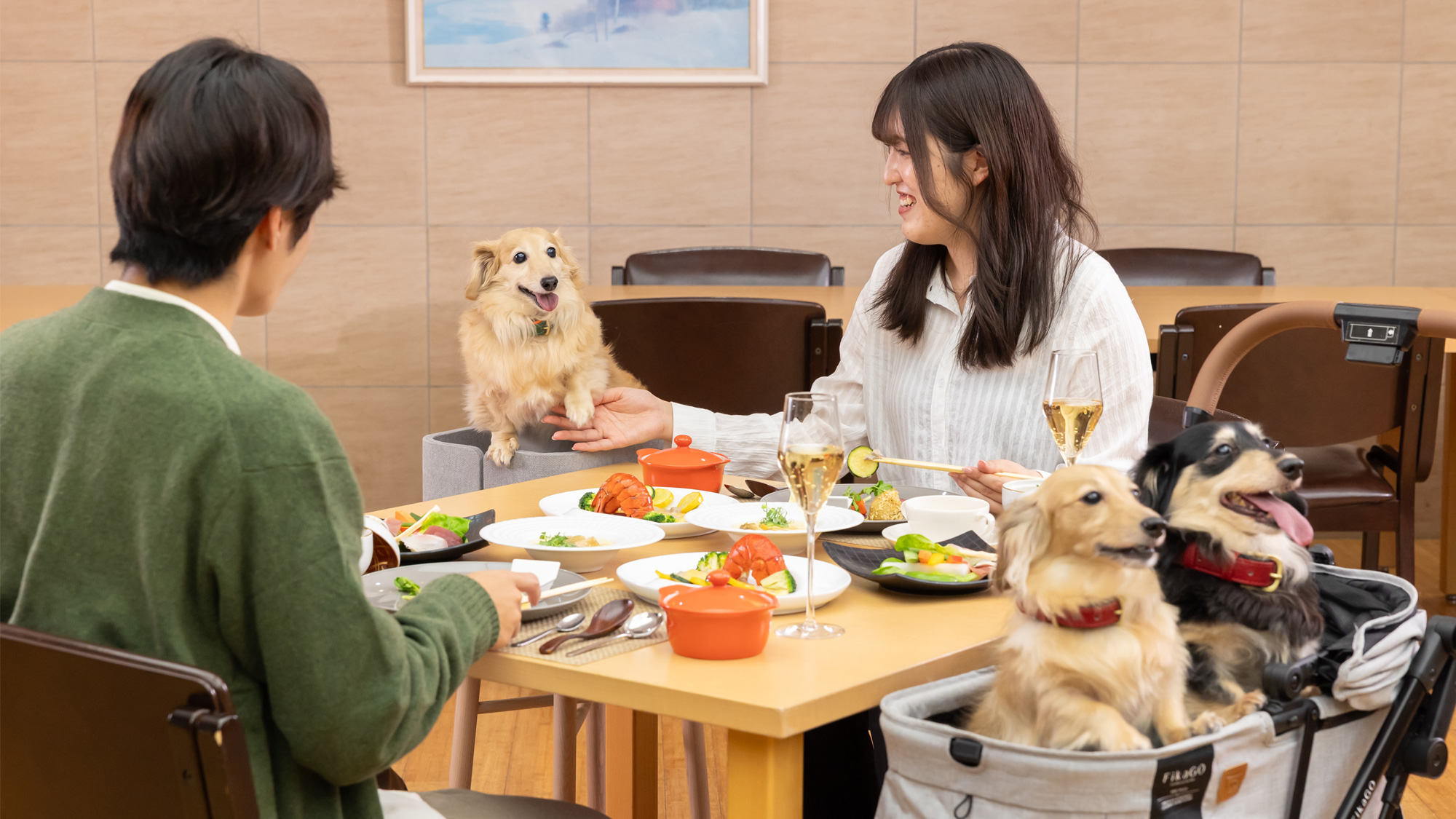 ワンちゃんと一緒にお食事をご堪能ください