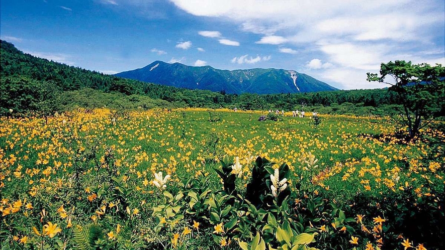 沼ッ原湿原