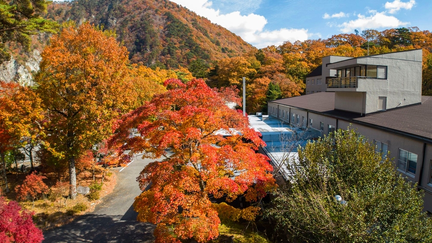 秋は美しい紅葉をお楽しみいただけます