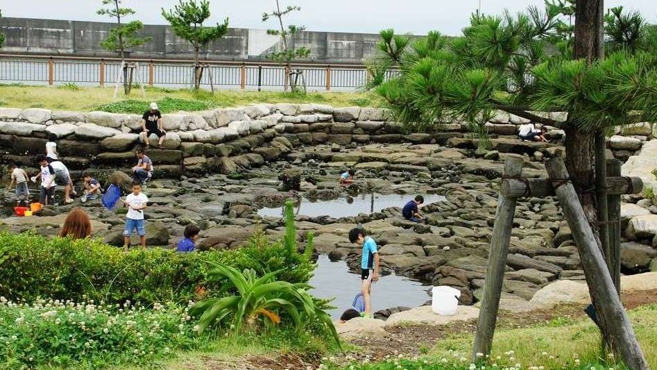 【親水公園ふぃしゅーな】当宿から約5km 車で約11分