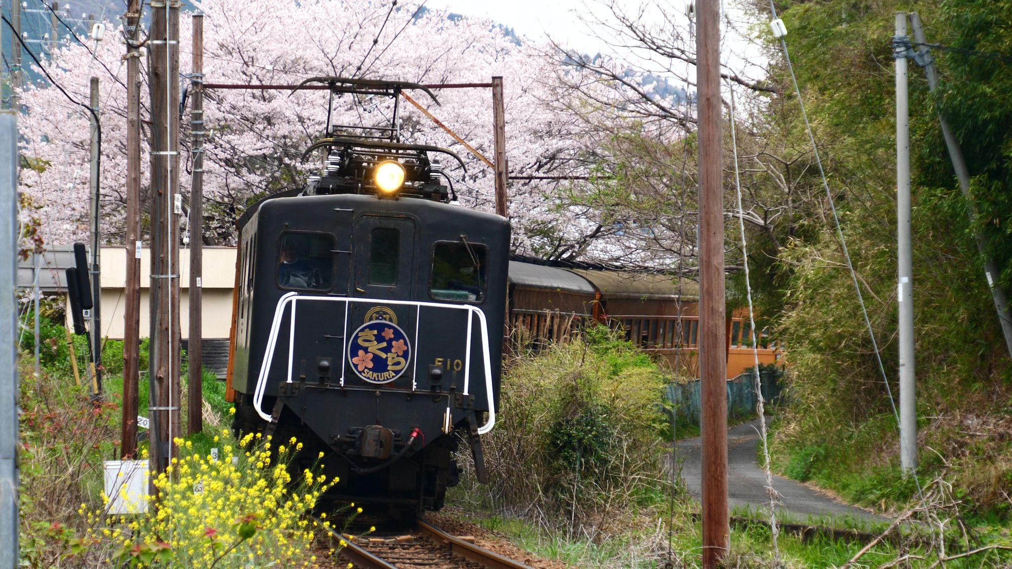 寝台特急「さくら」のヘッドマークを装着し、「お花見客」向け運行