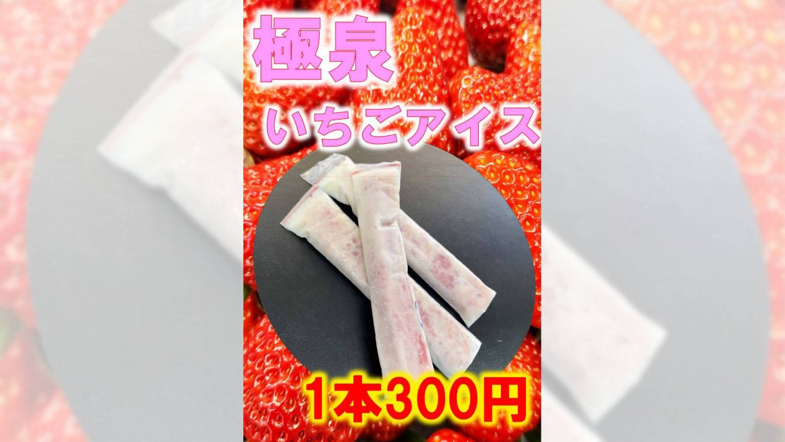 【いちご狩り】甘〜い苺が食べ放題★いちご狩りの後には自慢の温泉でリラックス★長良会席