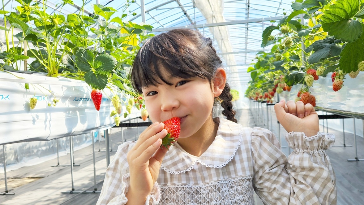 【いちご狩り】甘〜い苺が食べ放題★いちご狩りの後には自慢の温泉でリラックス★朝食付